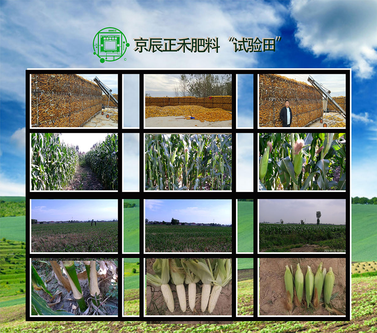 试验田.jpg