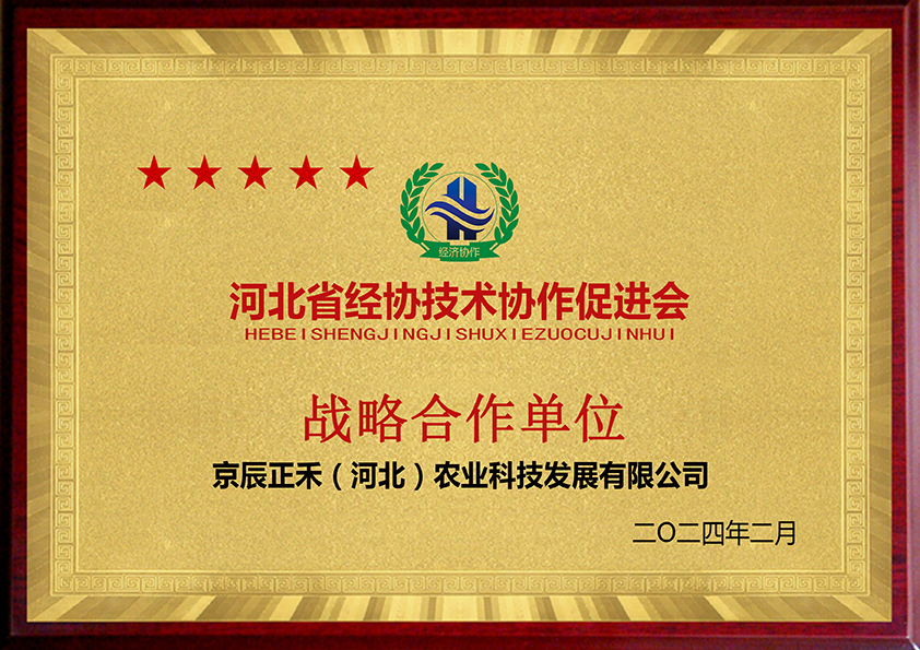 经济技术.jpg