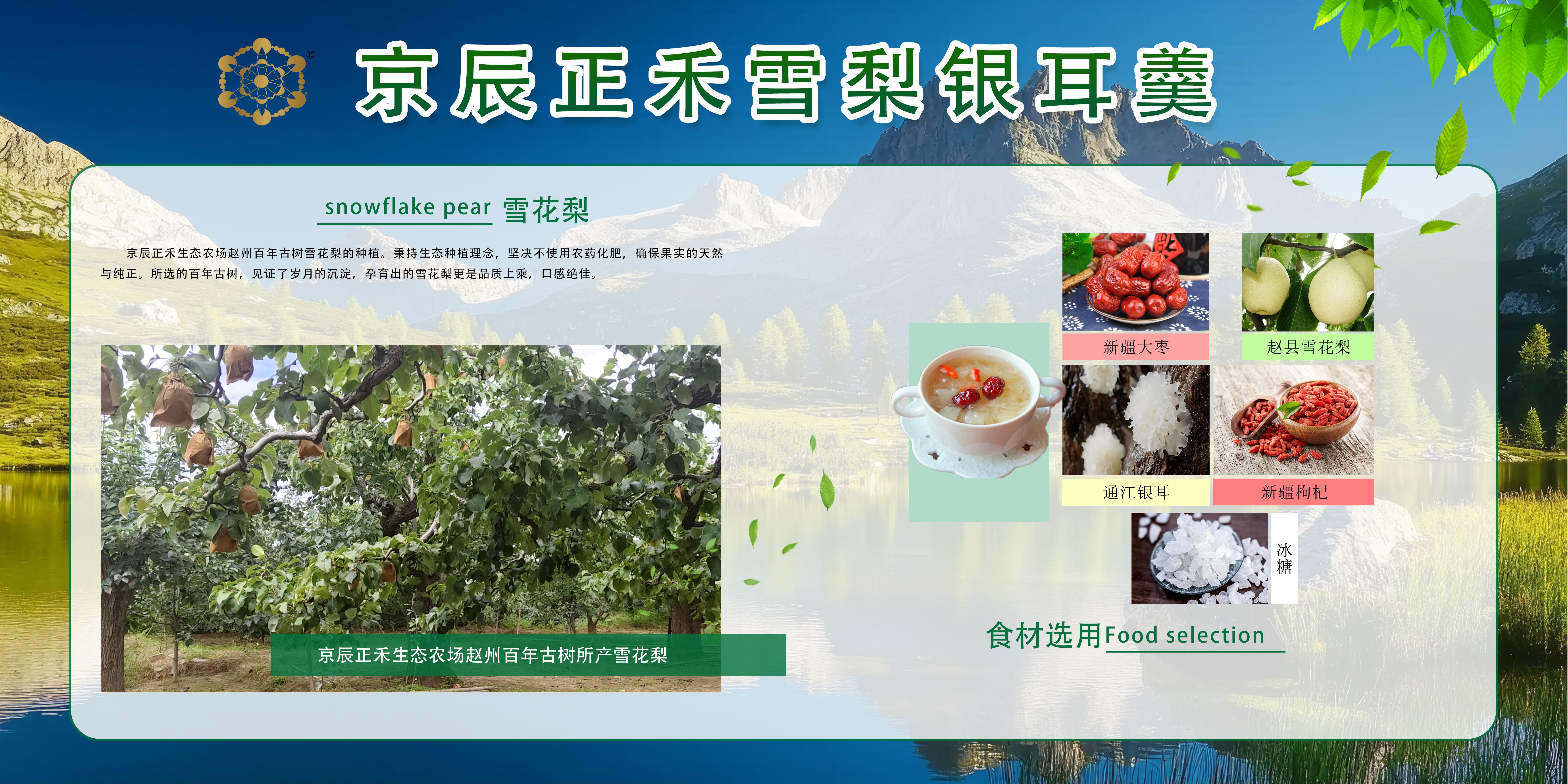 农业宣传展板.jpg